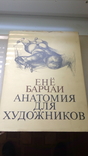 Анатомия для художника книга не частая, фото №2