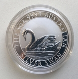 1-й в серии Лебедь Австралии 2017 Swan, фото №3