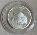 Монета 10 рублей 2008 "Выдра" серебро 925, вес 14,14 грамм, тираж 500 шт., фото №2