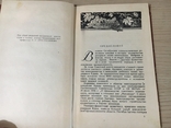 Крымские вина. Симферополь. Крымиздат. 1954г., фото №4