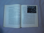 Чаплин. Очерк раннего периода творчества. Москва 1960, фото №6