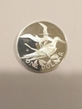 Британские Виргинские острова 1 доллар 1973 года серебро 25,7 грамм, 925 проба, фото №4