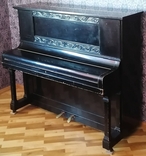 Піаніно ED SEILER, numer zdjęcia 2