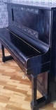 Піаніно ED SEILER, numer zdjęcia 4