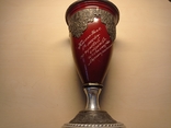 Spasskaya Tower Bullet Shooting Cup, photo number 2