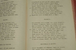 Книга Публия Овидия Назона 15 книг превращений 1887 год, фото №4