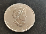 Серебряная монета Канады Белоголовый орлан,2014 г.в.,31,1 г чистого, фото №3