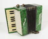 Accordion Kid, photo number 3