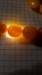 Beads natural amber Königsberg. Until 1940 The first half of the 20th century. Length 47 cm., photo number 10