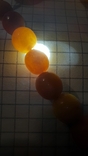 Beads natural amber Königsberg. Until 1940 The first half of the 20th century. Length 47 cm., photo number 13