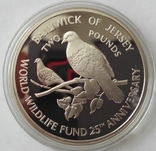2 Фунта 1987 ( 25 лет Всемирному фонду дикой природы), Серебро 0.925, 28.4г, Джерси, фото №2