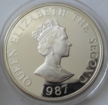 2 Фунта 1987 ( 25 лет Всемирному фонду дикой природы), Серебро 0.925, 28.4г, Джерси, фото №5