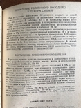 1982 Справочник КРС Животноводство Кормление, фото №7