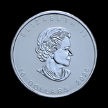 10 Долларов 2020 Канадский Гусь (Серебро 0.999, 62.2г) 2oz, Канада 2 Унции, фото №3
