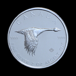 10 Долларов 2020 Канадский Гусь (Серебро 0.999, 62.2г) 2oz, Канада 2 Унции, фото №2