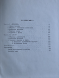 М. Тараканов. Музыкальный театр Альбана Берга, фото №6