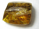 Amber natural inclusion 34.2 grams. Insect inside., photo number 3