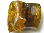 Amber natural inclusion 34.2 grams. Insect inside., photo number 5