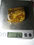 Amber natural inclusion 34.2 grams. Insect inside., photo number 11