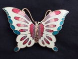 Бабочка эмали, фото №2