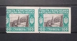 Брак. Перфорація. Клей. Віденська серія. Україна УНР 1920, фото №2