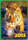 Тигрова фауна, фото №2