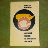 Свиноводство Селекция свиней на повышение мясности, фото №2