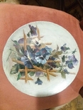 Антикварні настінні тарілки, 2 шт.,живопис, розпис фарбами, квіти, фото №7