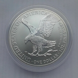 2021 г - 1 доллар США,унция серебра в капсуле, photo number 6