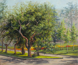 Obraz "Stary platan", 60x50, pejzaż, park, Charków, impresjonizm., numer zdjęcia 2