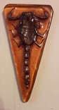 Скорпион в смоле, ручная работа - 8.5х5 см., фото №3