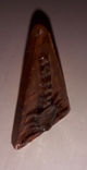 Скорпион в смоле, ручная работа - 8.5х5 см., фото №12
