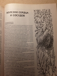 Энциклопедия народных методов лечения. Генрих Ужегов. ., фото №8