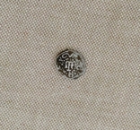 Татарская монета, Серебро, фото №2