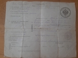 Паспорт Української держави наІмперському бланку, numer zdjęcia 2