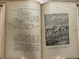 Е. Амічіс Добрий син О. Лепкий Бозя 1911 р. Чернівці, фото №7