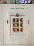 Австрія - фірмові аркуші Schaubek для марок 1945-1977, фото №13