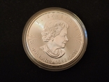 Кленовый лист 30 лет 2018 г. Юбилейная серебряная монета Канады, фото №3