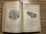 Gyncologie 1904 Paris / Гінекологія, гинекология, фото №10
