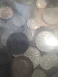 Монети Великобритания 6,5 кг № В6, фото №4