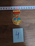 Памятная медаль ГДР VEB Mansfeld Vilhelm Pick Пламя Дружбы Мансфельд-Кривой Рог (4), photo number 2