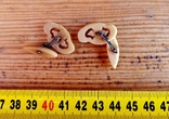 Cufflinks from the USSR made of bone - 2, photo number 4