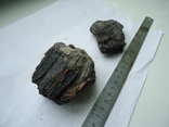 Fragments of fossilized mammoth teeth, photo number 4