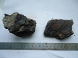 Fragments of fossilized mammoth teeth, photo number 6