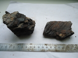 Fragments of fossilized mammoth teeth, photo number 7