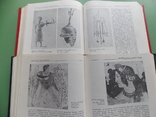 1985 г. "Культура Древнего Рима" Два тома. Комплект., фото №10