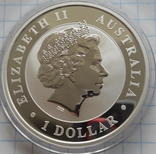 1 доллар 2016 г. Австралия. Коала. Унция серебра., фото №7
