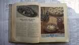 Книга о вкусной и полезной пище. Советская кулинарная книга. 1953, фото №5