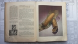 Книга о вкусной и полезной пище. Советская кулинарная книга. 1953, фото №13