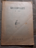 Китай 1950-е Мурзилка Детский Журнал, фото №10
